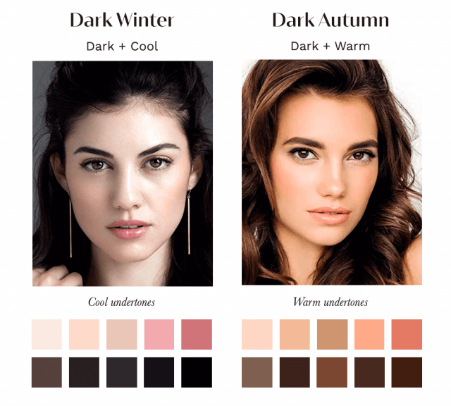 Colour Palette for Dark Winter Season