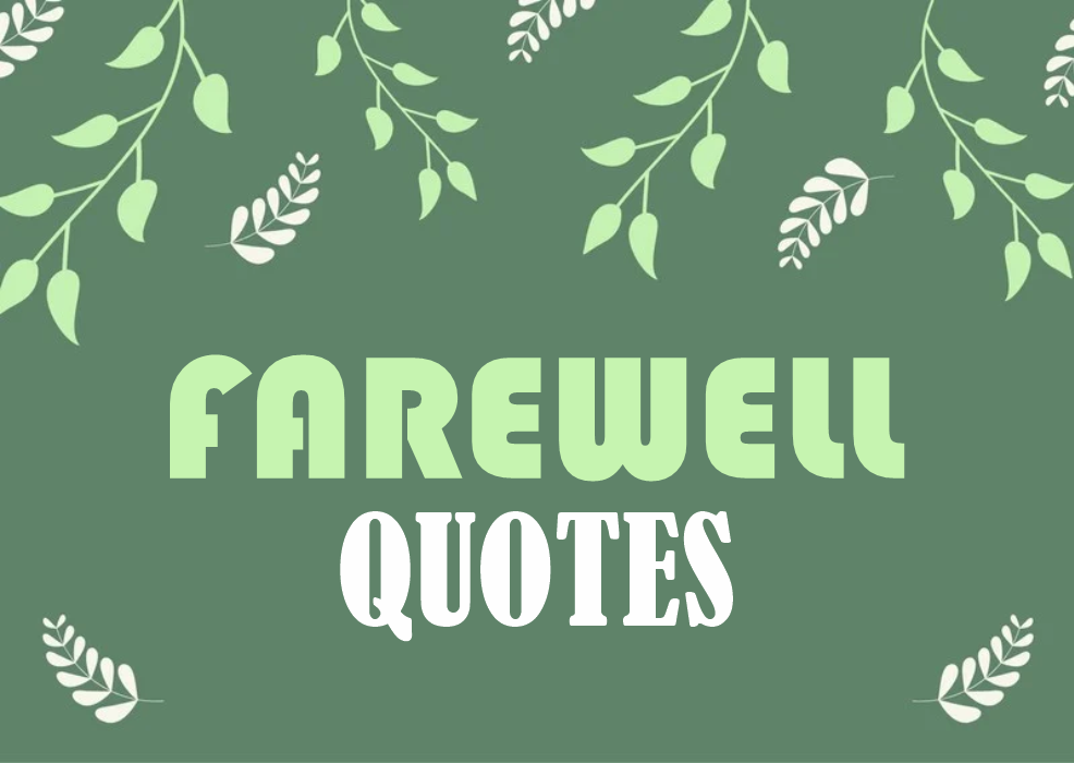 All Kinds of Farewell Invitation Quotes - Funny, Loving, Generic and more