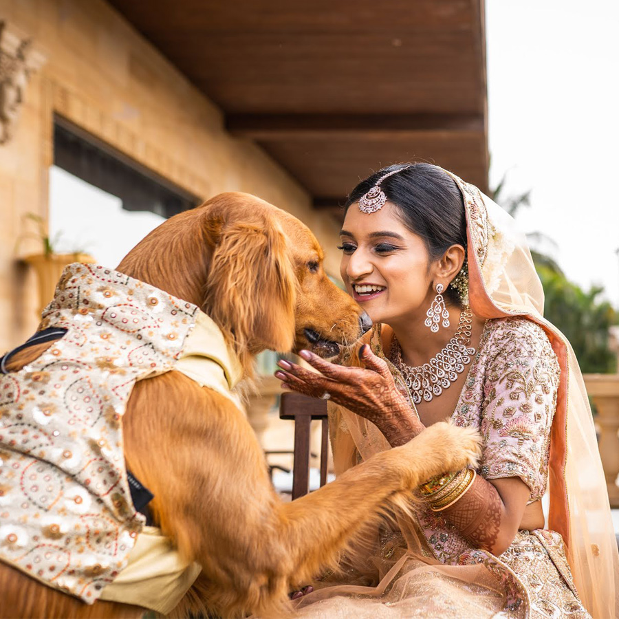 How You Are Incorporating A Pet Into Your Big Day?