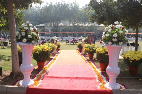 Decorated by venuelook