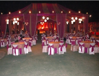 Dream Party Lawn Dream Party Lawn