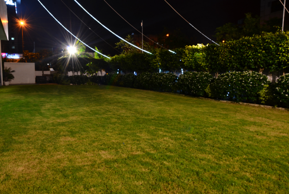 Lawn at Hotel Lineage