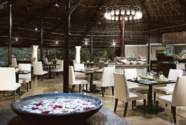 Banyan tree at Taj Holiday Village Resort & Spa