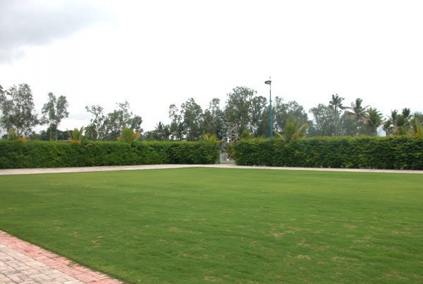 Lawn at Laxmi Lawns