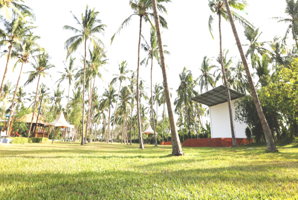 Lawn at The Southern Mermaid Resort