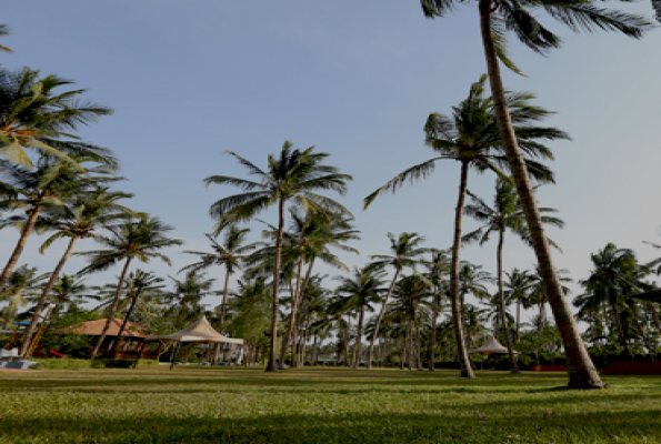 Lawn at The Southern Mermaid Resort