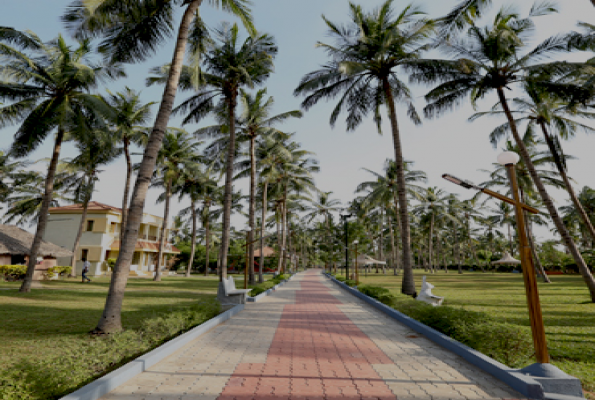 Lawn at The Southern Mermaid Resort