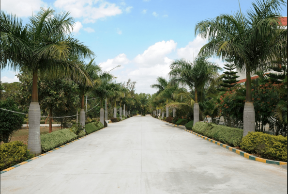 Golden Mile Resort
