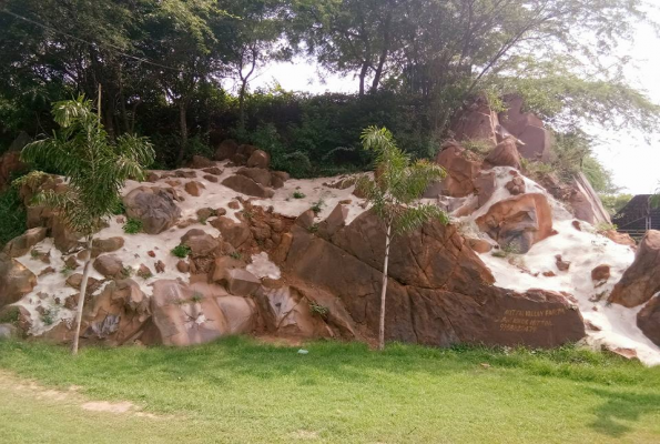 Orchid Valley