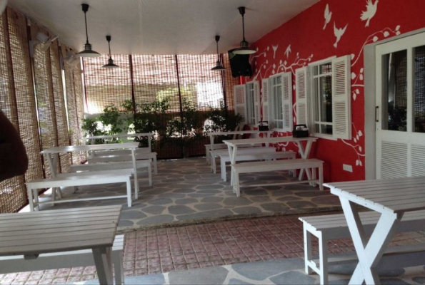 Cafe Soul Garden in Dlf Phase 4, Gurgaon - Photos, Get Free Quotes