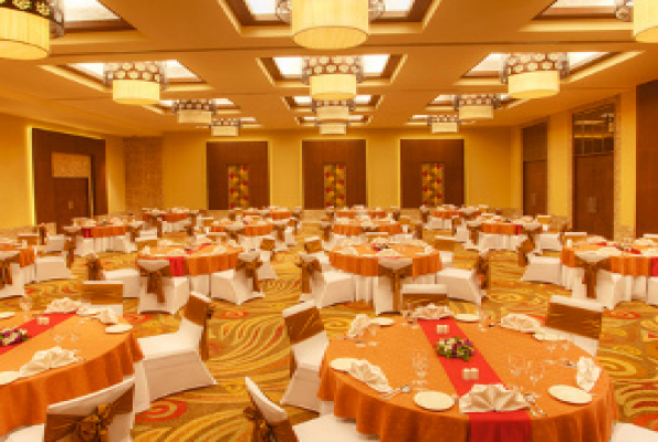 Banquet at Radisson Blu Hotel