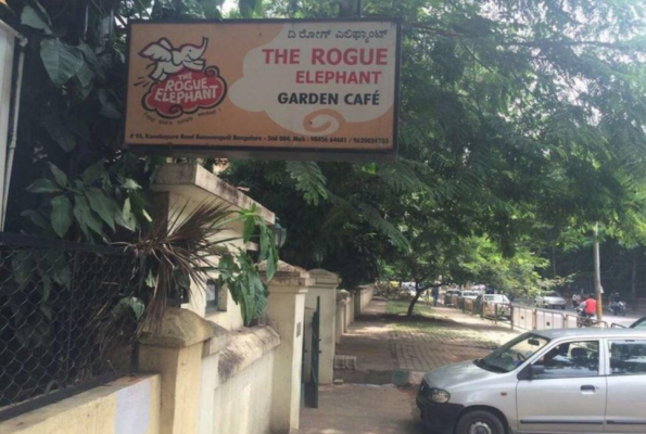 The Rogue Elephant