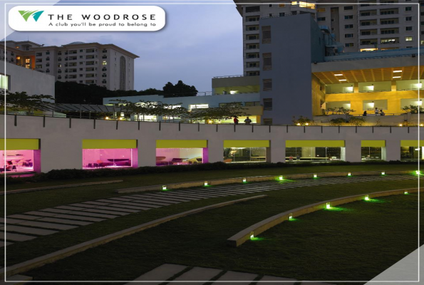 The Woodrose