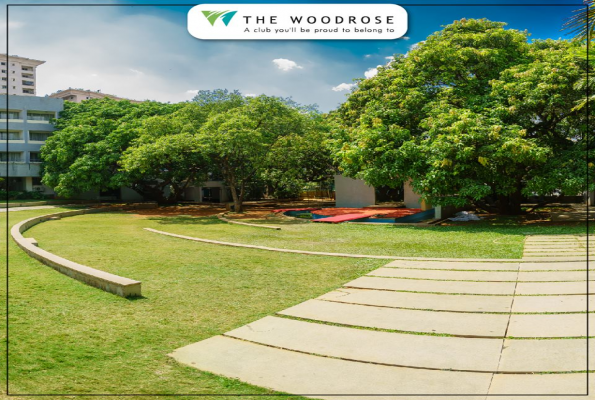 The Woodrose
