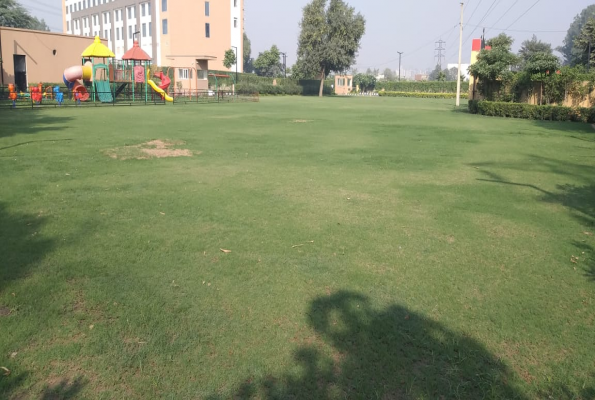 Lemon Tree Sohna Road