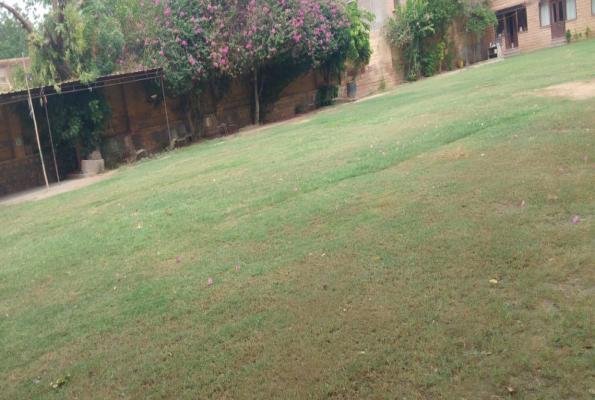 Lawn at Raghav Villas