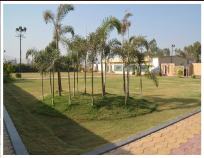 Shreeji Banquet Hall & Lawns