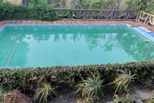 Swimming Pool at Raj Farm