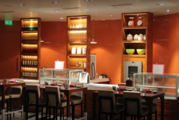 The Flying Elephant 2