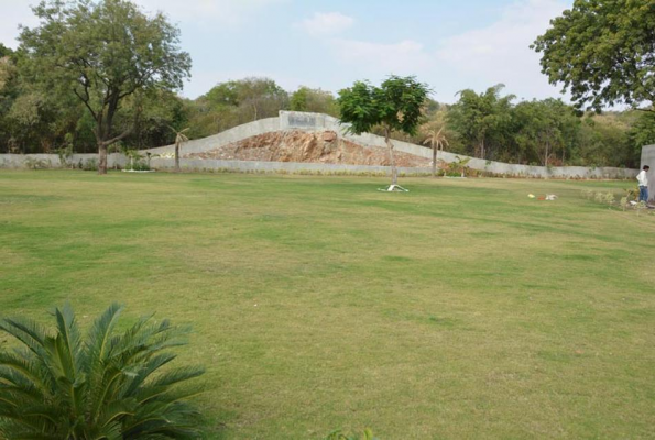 Garden at Hill View Vatika