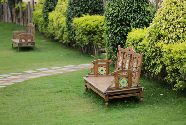 Open Area at Vattika Vegetarian Restaurant