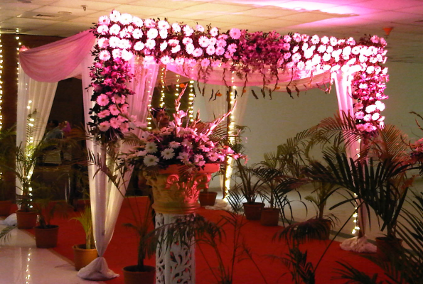 Orchid Banquet at Dreams Banquet