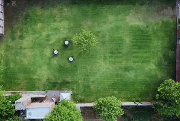 Treehouse Rajbagh Hotel 5