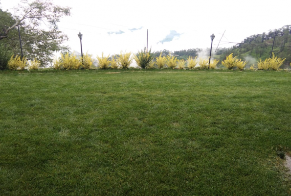 Party  Lawn at Mountain View Resort