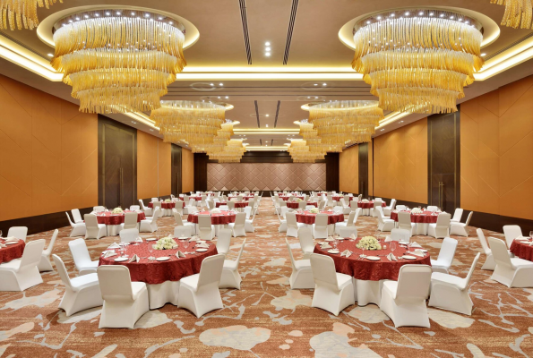 Grand Ball Room 2 Patts at Radisson Blu Faridabad