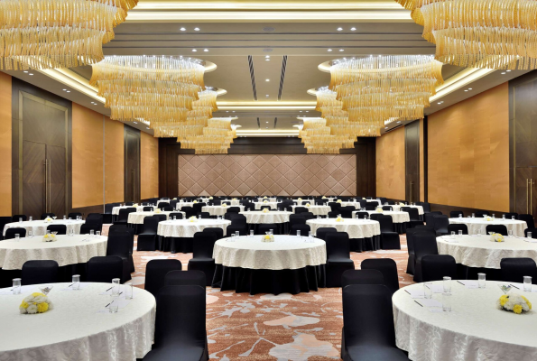 Grand Ball Room at Radisson Blu Faridabad