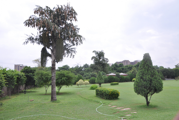 Jain Farms