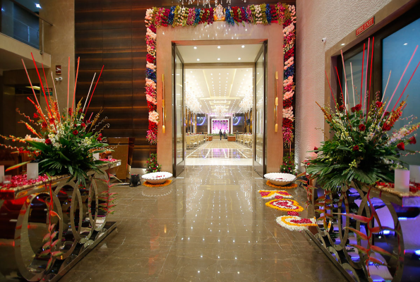 Green Lounge Fusion 5