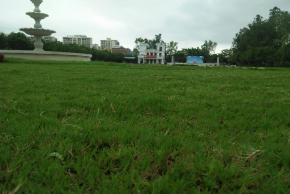 IIDM Lawn at Iidm Eco Centre