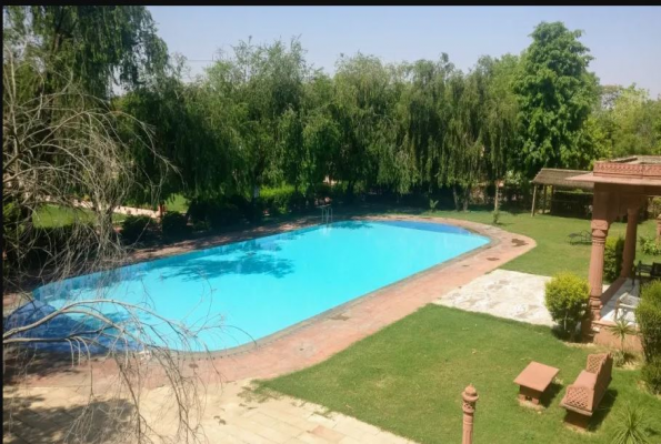 Poolside at Umaid Lake Palace