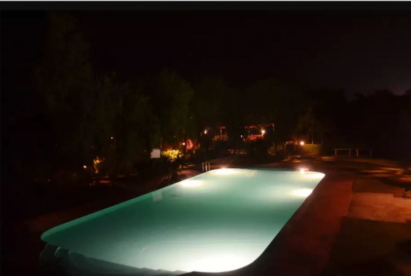 Poolside at Umaid Lake Palace