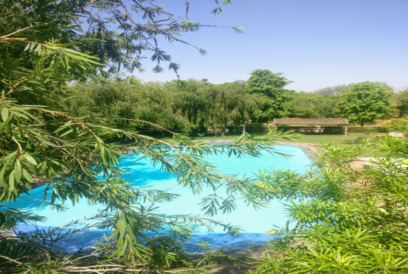 Poolside at Umaid Lake Palace