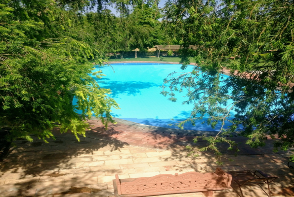 Poolside at Umaid Lake Palace