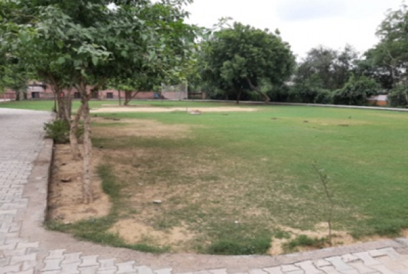 Lawn at Shiv Mandir Vatika