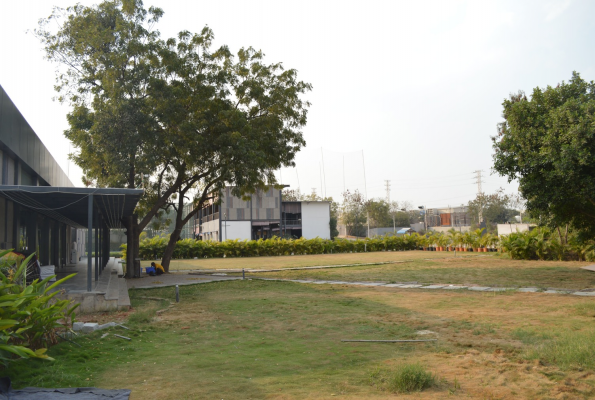 Lawn at Flipside Adventure Park