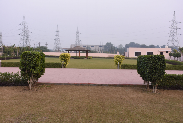 Lawn at Jashn Palace