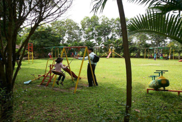 Lawn at Paradise Funland