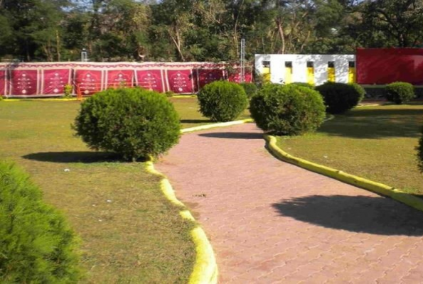 Daulat Lawns