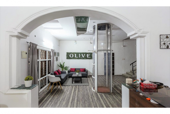 Olive Studios