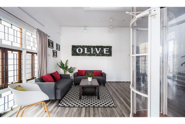 Olive Studios