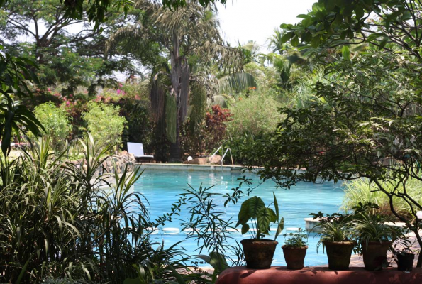 Poolside at Laguna Anjuna