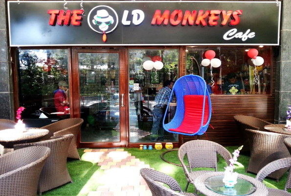 Outdoor Area at The Old Monkeys Cafe And Restaurant