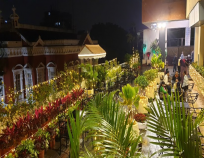 Canopy Terrace Garden