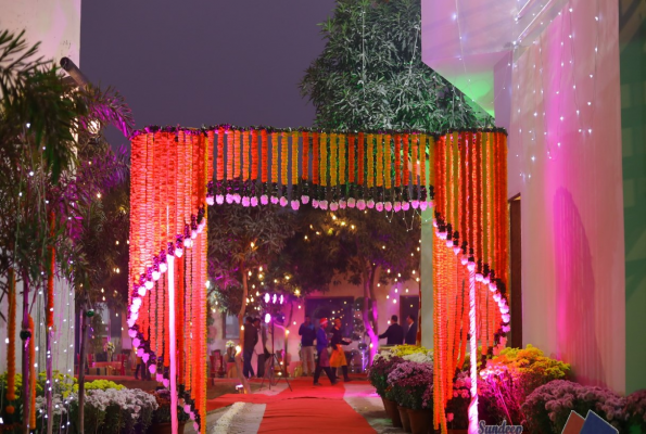 Amrapali and Marigold and Lotus garden at Rangmanch Farms