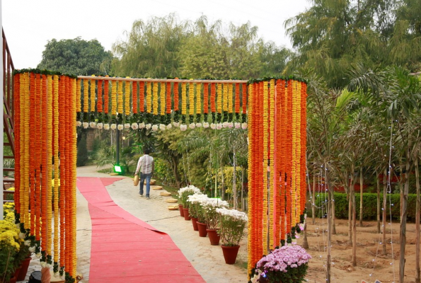 Amrapali and Marigold and Lotus garden at Rangmanch Farms