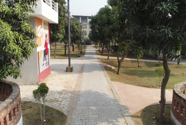 Amrapali and Marigold and Lotus garden at Rangmanch Farms